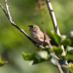 freenaturestock-2338-768x512