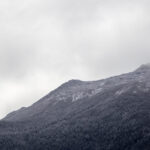 freenaturestock-2339-768x512